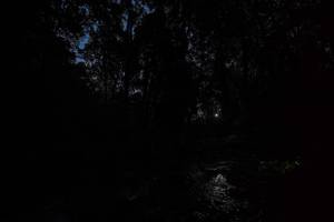 BIB: 
                            <button type="button" onclick="openModal(19245601)" class="btn btn-primary btn-sm float-right btn-popup" data-toggle="modal" data-target=".modal-high-quality">
                        <i class="fas fa-shopping-cart"></i> Add to Cart
                    </button>
                                            <button type="button" onclick="isThisMe(19245601, true)" class="btn btn-success btn-sm float-right btn-popup btn-isme hidden" data-toggle="tooltip" data-placement="bottom" title="นี่คือรูปของคุณใช่ไหม คลิกที่นี่เพื่อเอาเข้าอัลบั้ม">
                        <i class="fas fa-plus"></i> Add to album
                    </button>
                    <button type="button" onclick="isThisMe(19245601, false)" class="btn btn-warning btn-sm float-right btn-popup btn-isnotme hidden">
                        <i class="fas fa-ban"></i> Remove from album
                    </button>